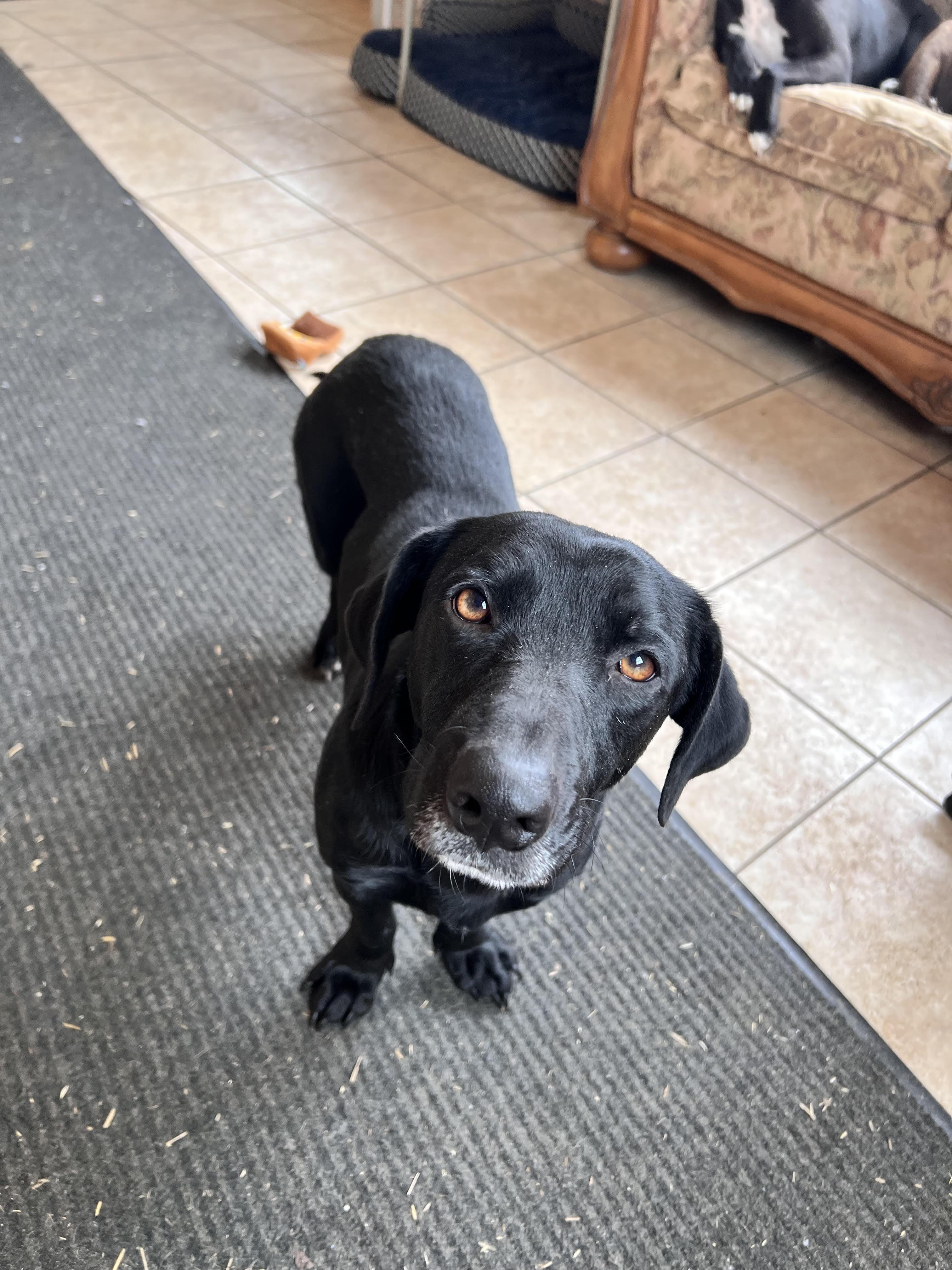 Momma Bridget Best — thumbnail 3