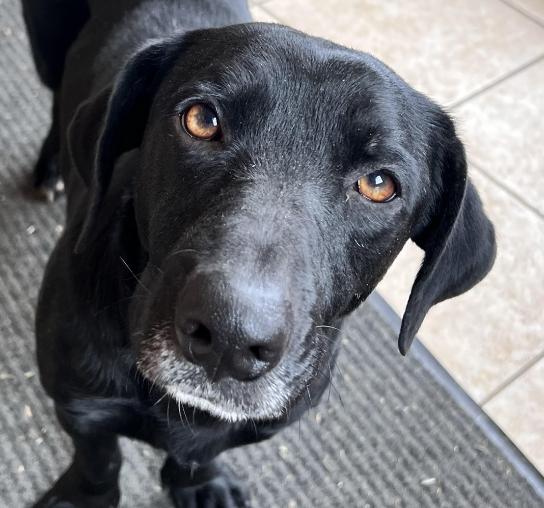 Momma Bridget Best — thumbnail 4