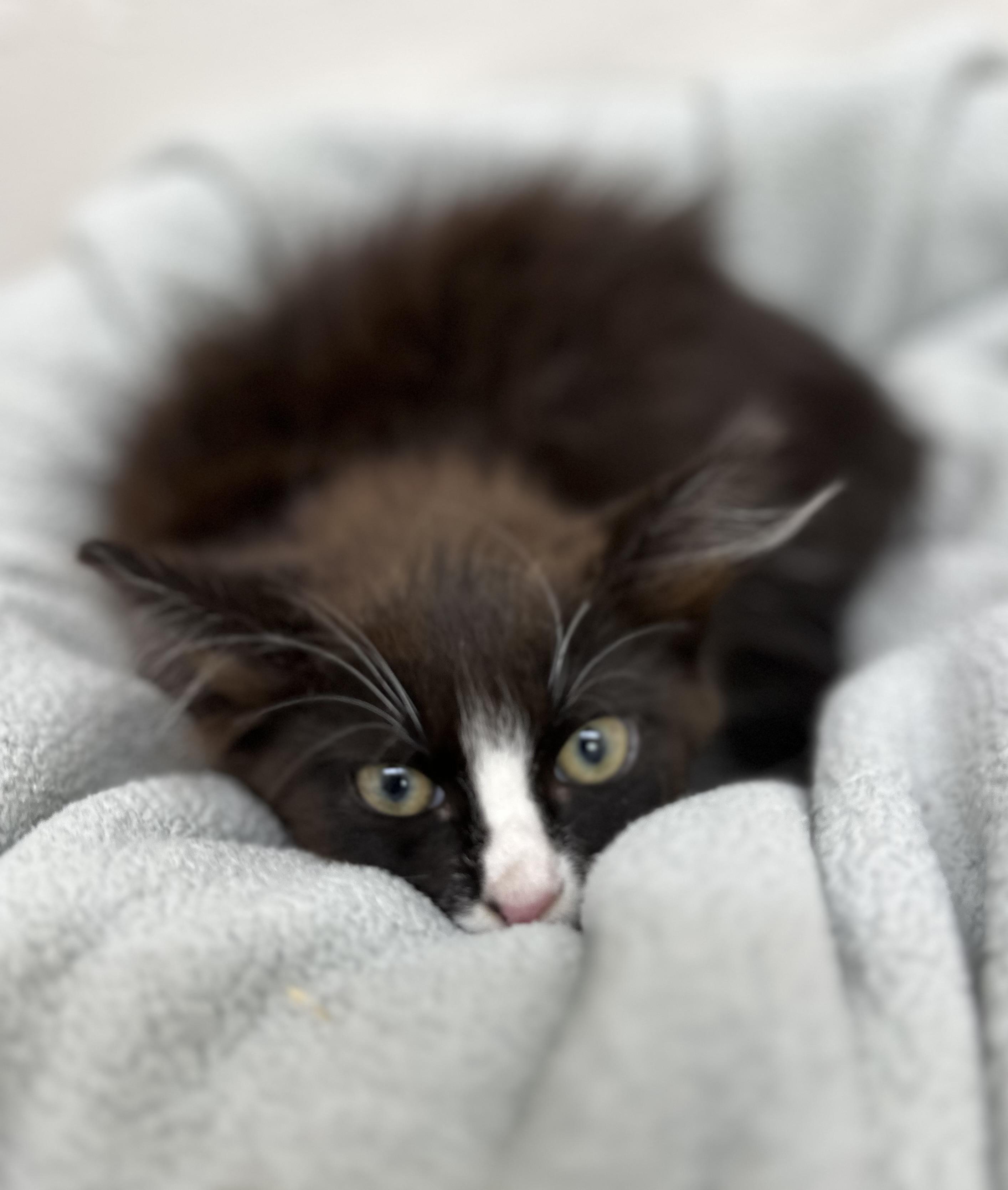 Zoe 0135 — thumbnail 2