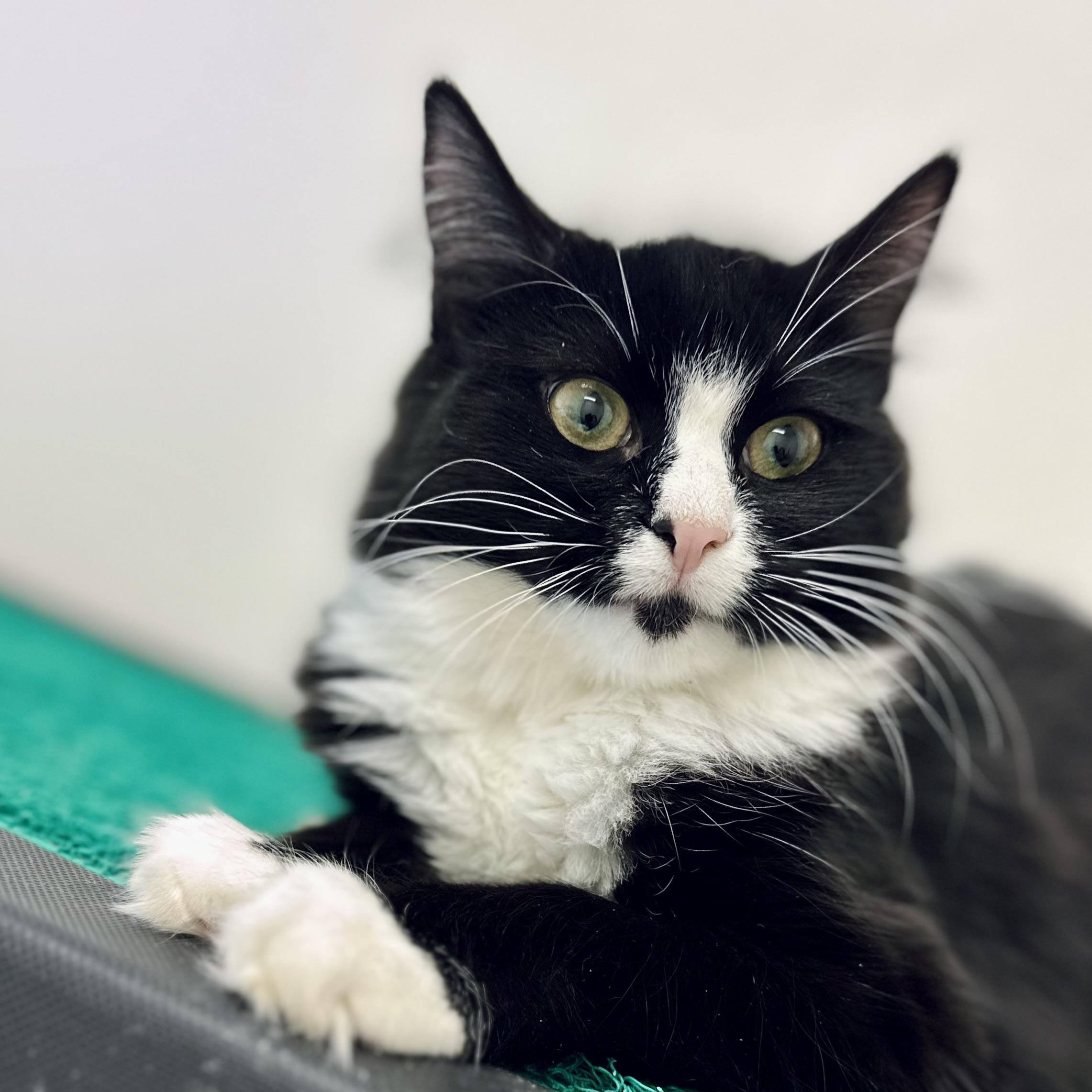 Zoe 0135 — thumbnail 3