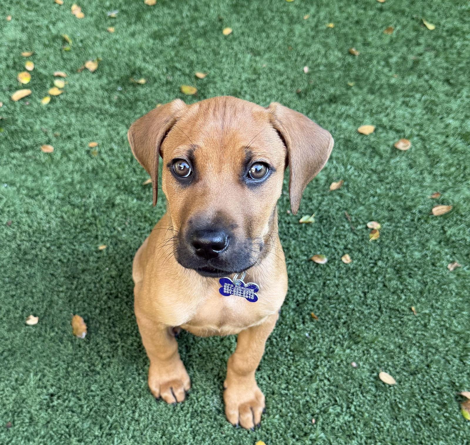 Fruit Punch thumbnail 3