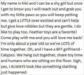 Enlarge Kiki, a Adoptable mixed breed in Libby, MT image 5/5