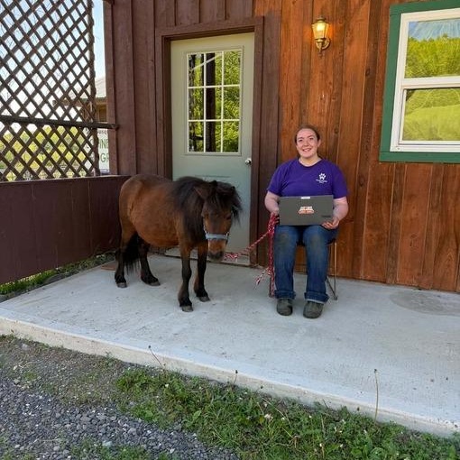 Cocoa Bean, an adoption pending Miniature Horse in Cooperstown, NY image 5/6