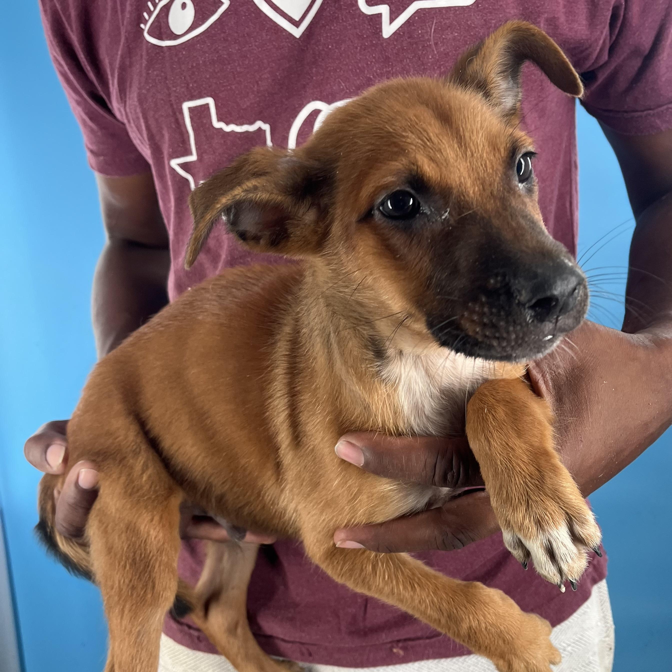 Marco - Local Sept 26-28