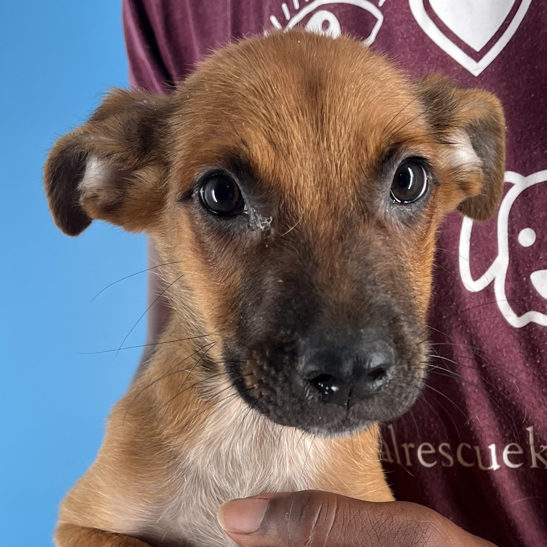 Marco - Local Sept 26-28