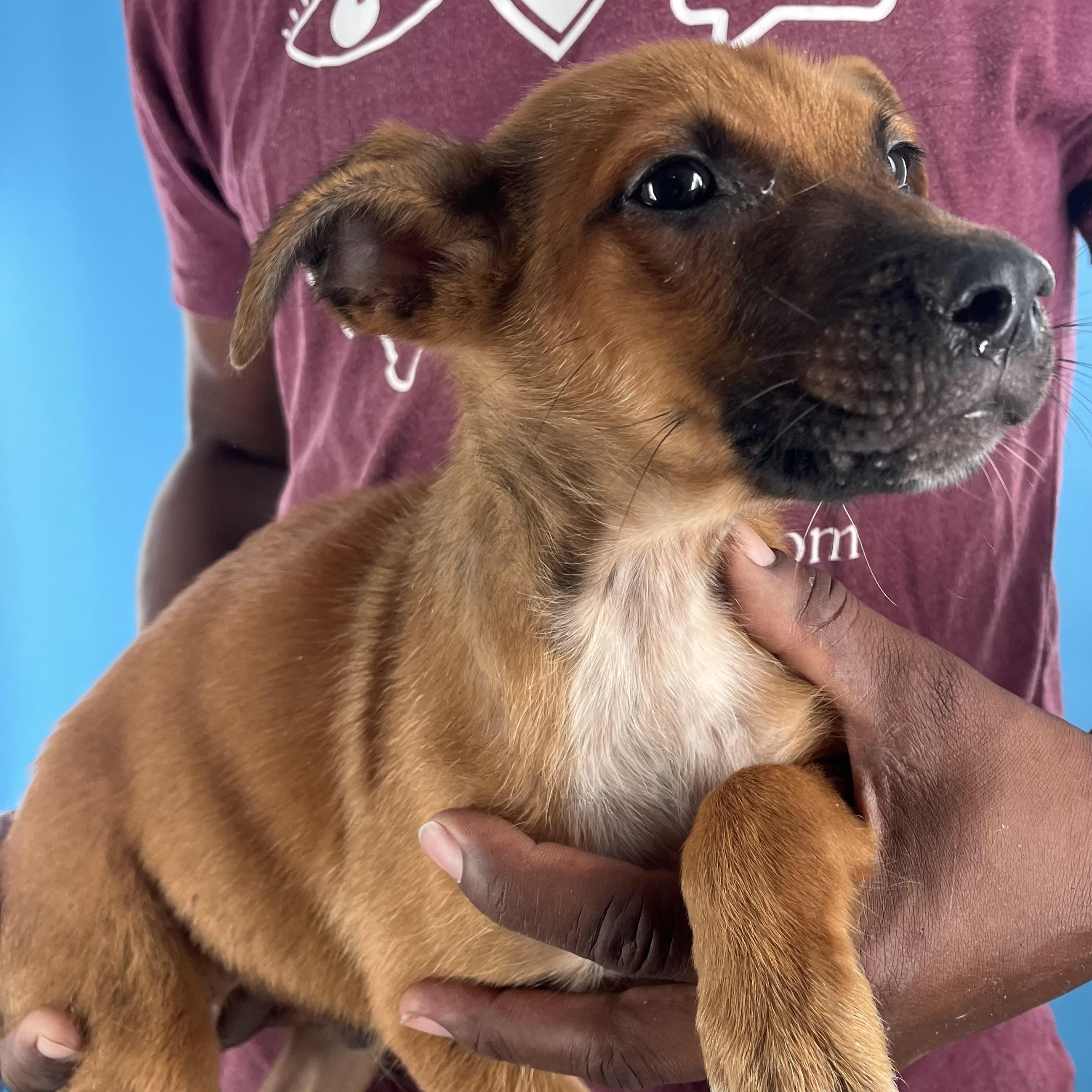 Marco - Local Sept 26-28