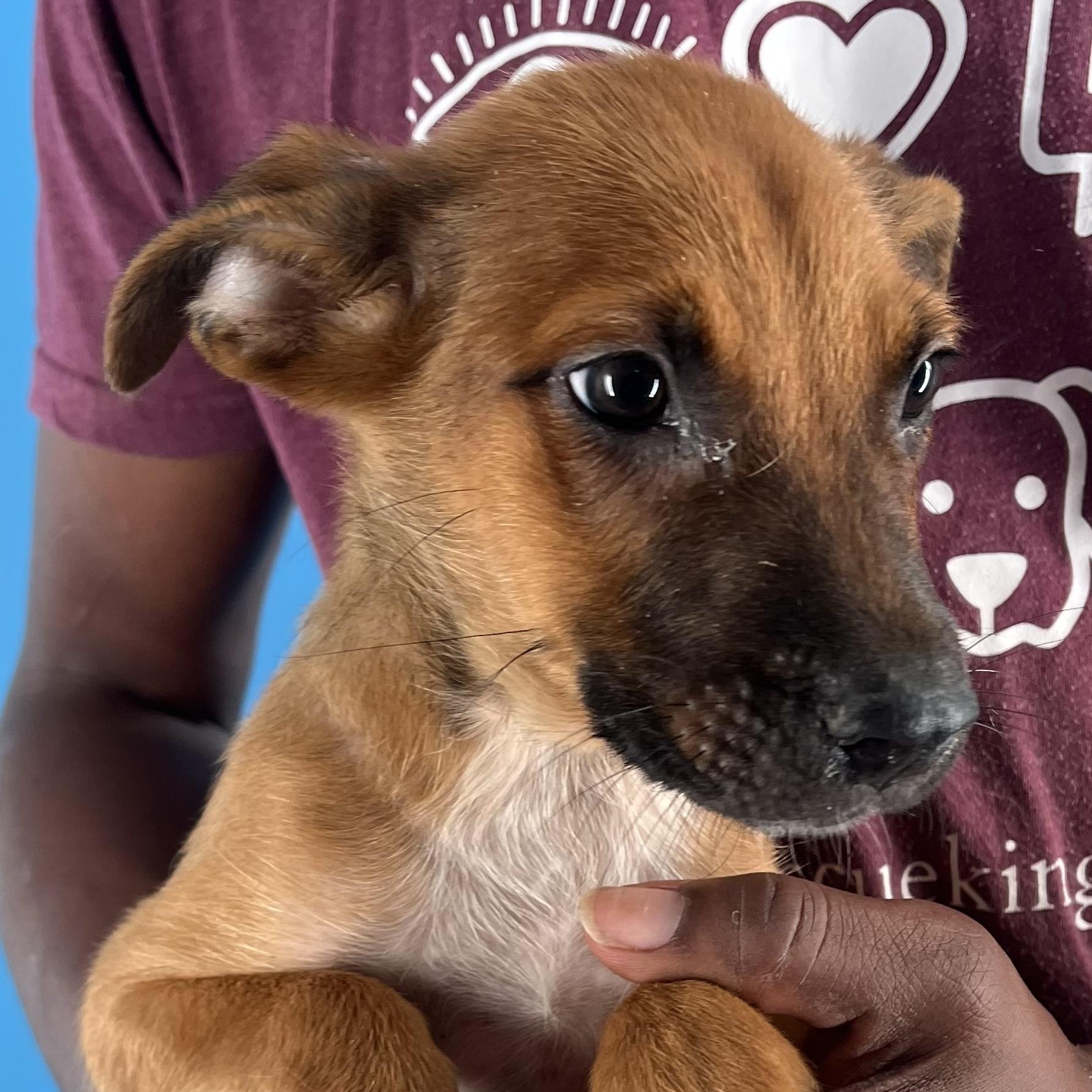 Marco - Local Sept 26-28