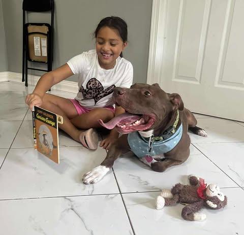 Bear — thumbnail 4