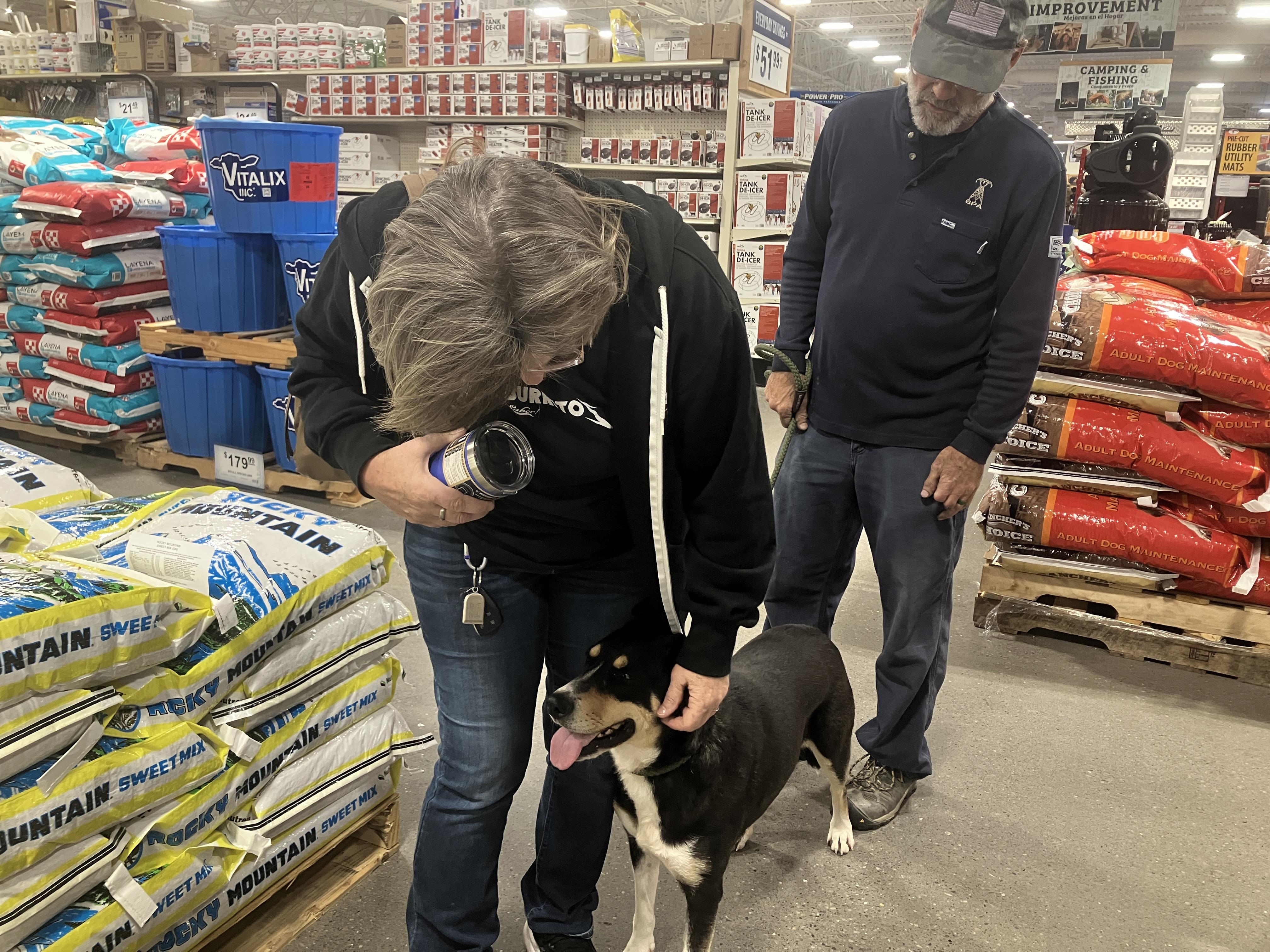 Nala, a Adoptable mixed breed in St. Anthony, ID image 1/3