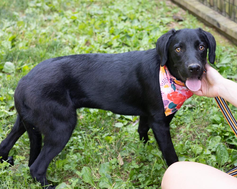 Lilo (Female)