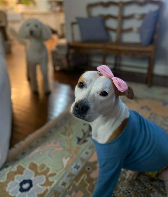 BIRDY — thumbnail 2