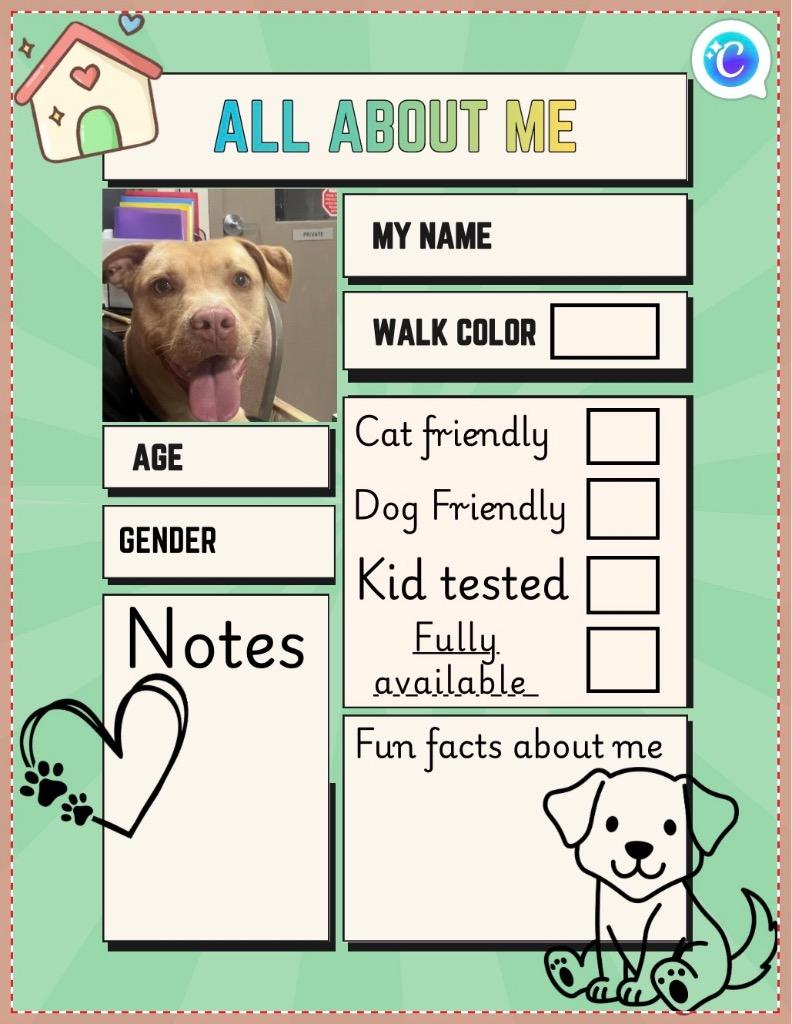Enlarge Trout, a Adoptable mixed breed in New Manchester, WV image 4/6