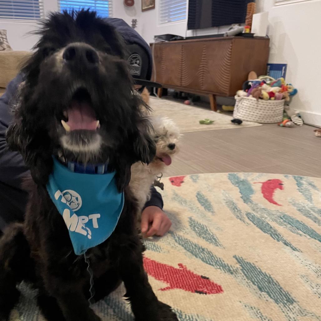 Junior Mint (was Nico) — thumbnail 3