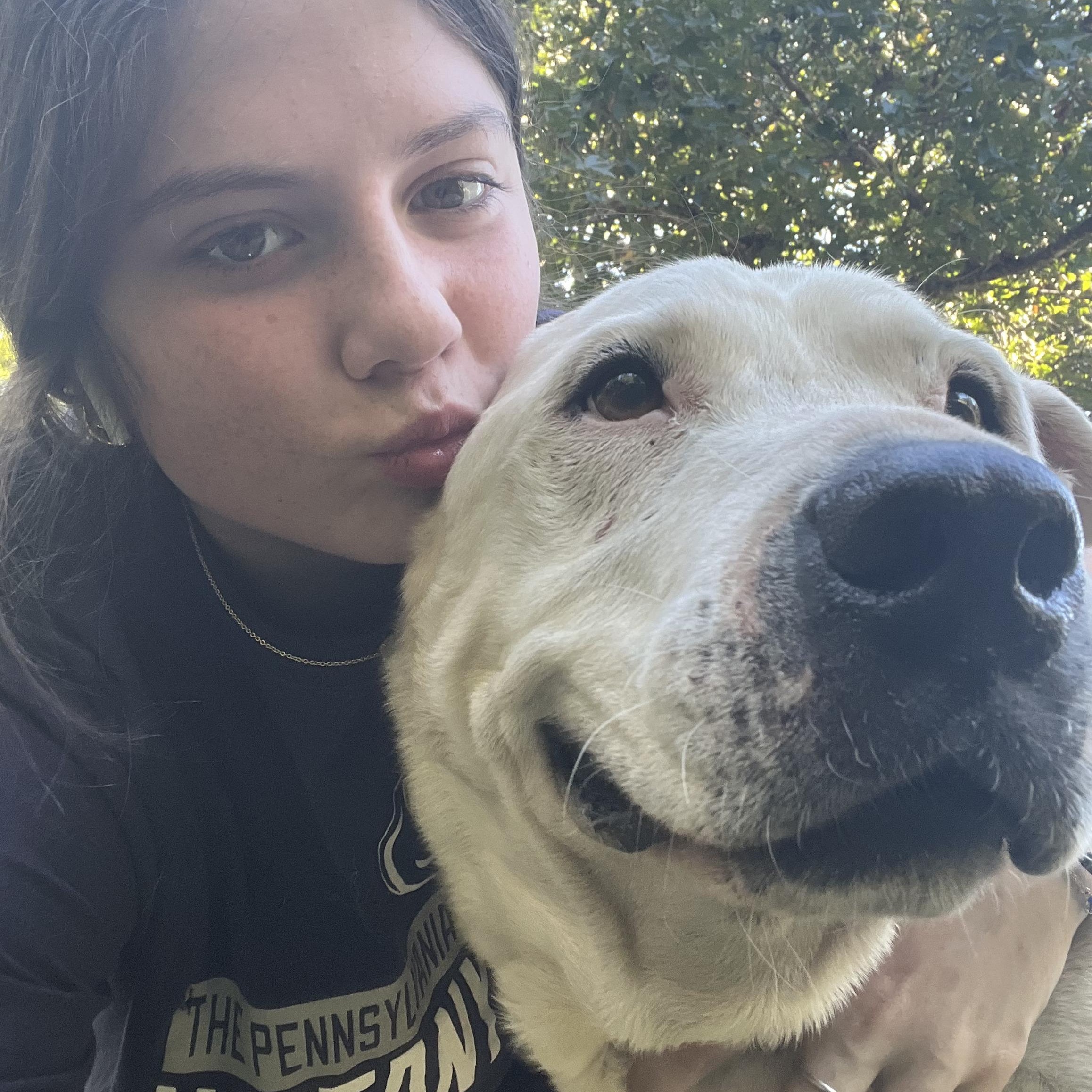 Enlarge Charlie, a Adoptable mixed breed in Magnolia, TX image 5/5