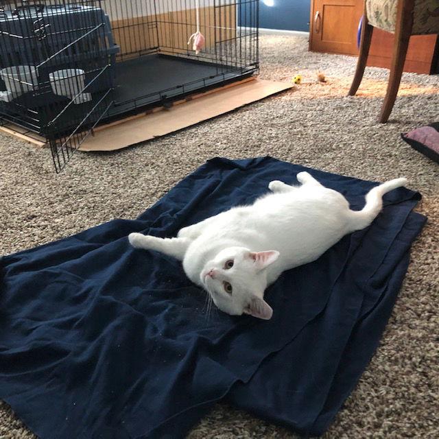 Todd — thumbnail 2