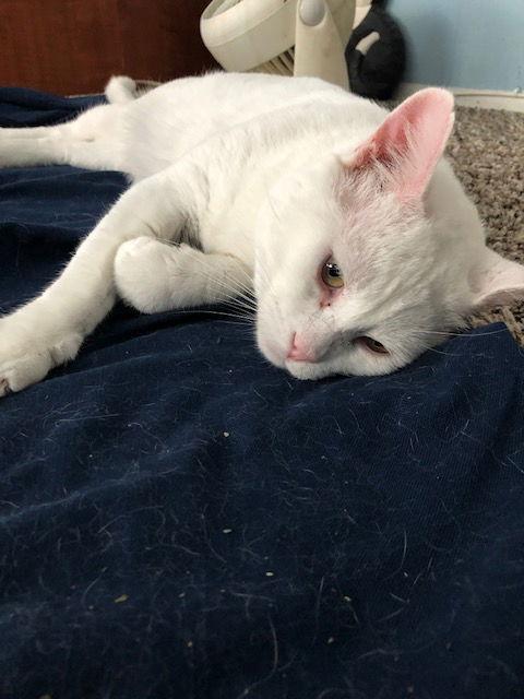 Todd — thumbnail 3