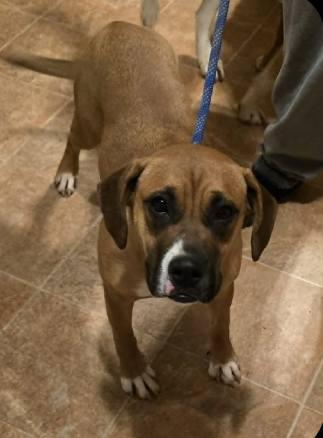 June — thumbnail 2