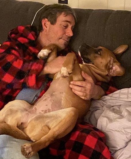 Enlarge June, a Adoptable Boxer in Shakopee, MN image 3/3