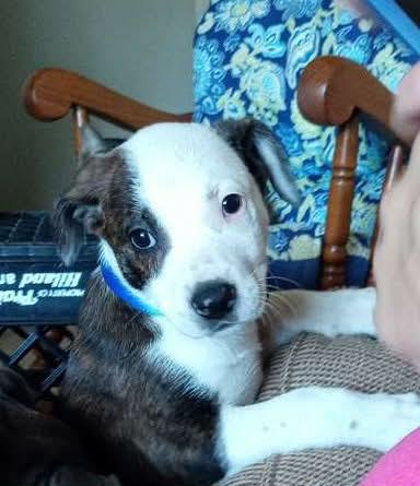 Jack