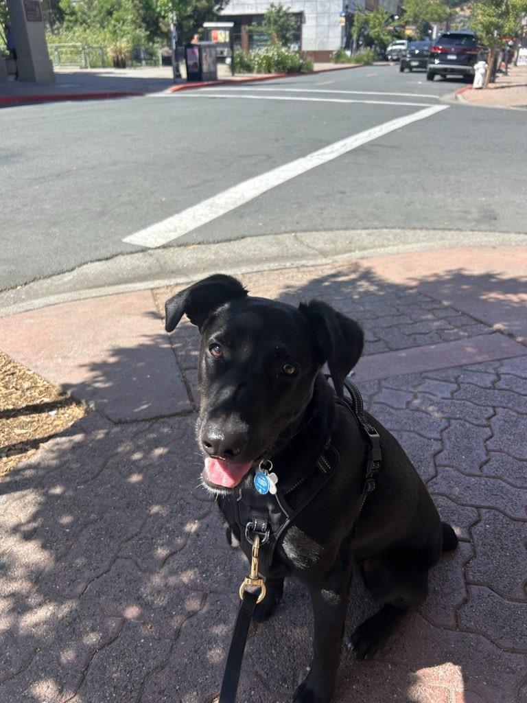Oakley photo 4