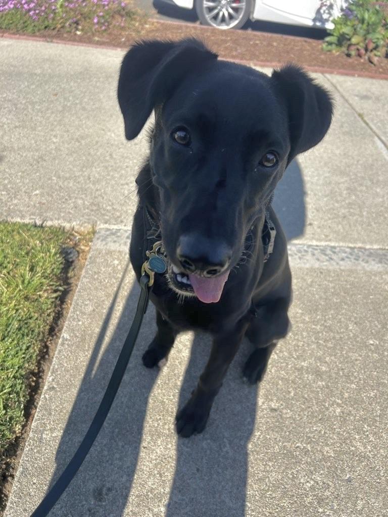 Oakley