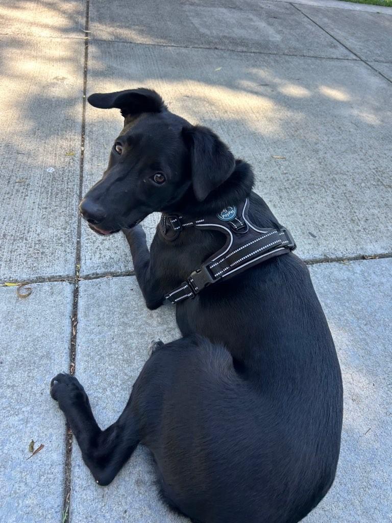 Oakley photo 2