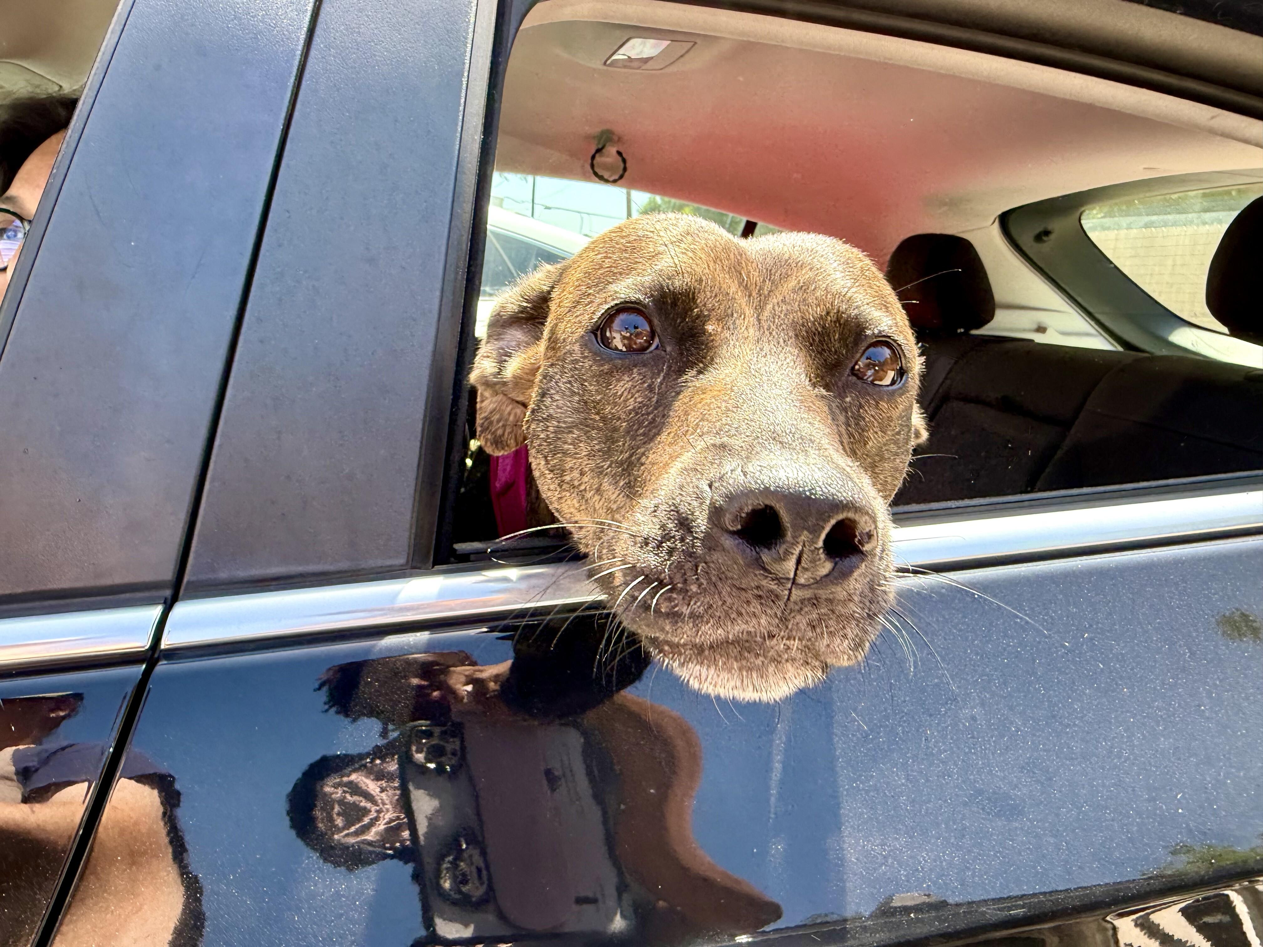 Dior Love is all the sweetness! — thumbnail 3