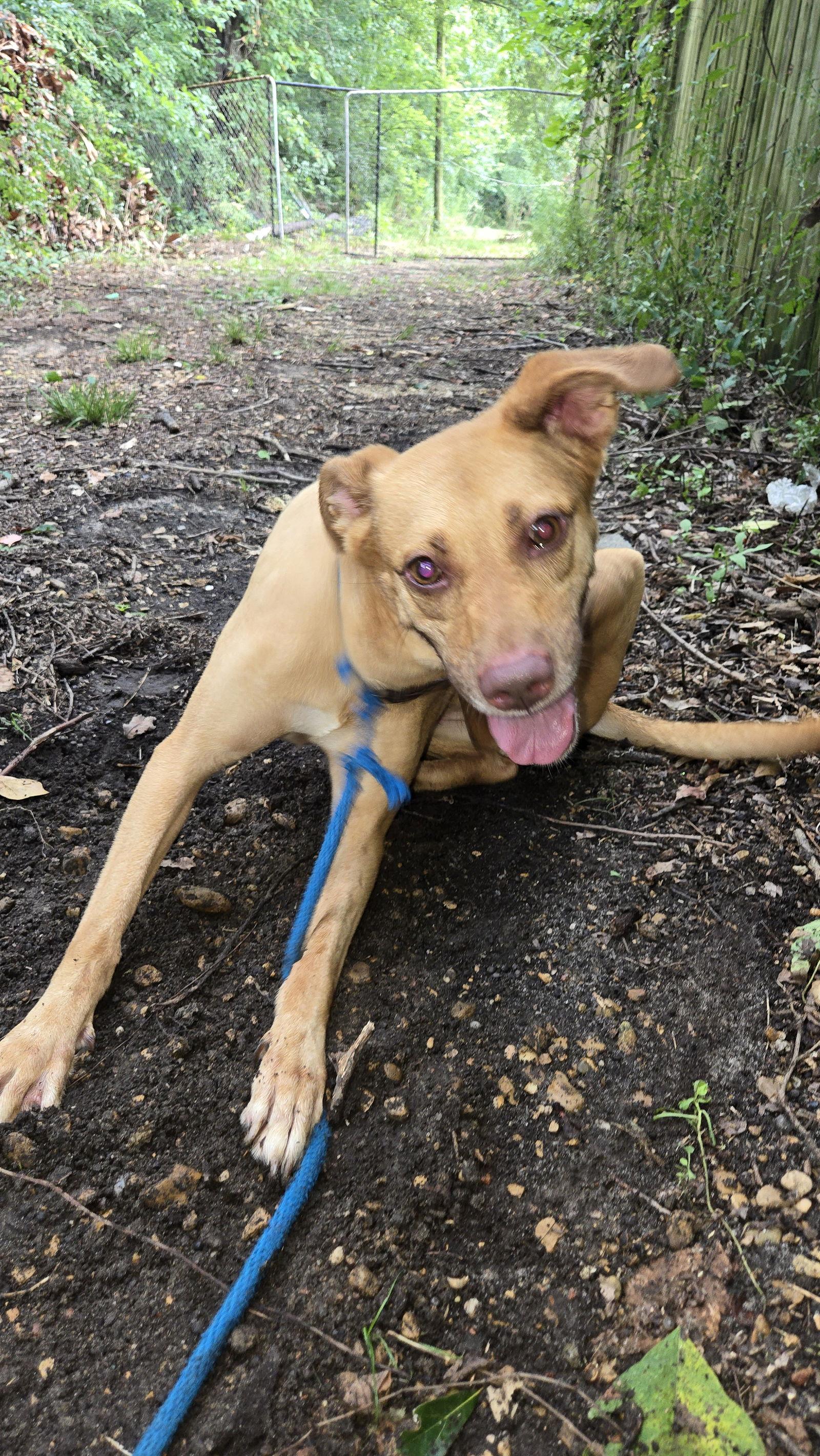 Carnela — thumbnail 2