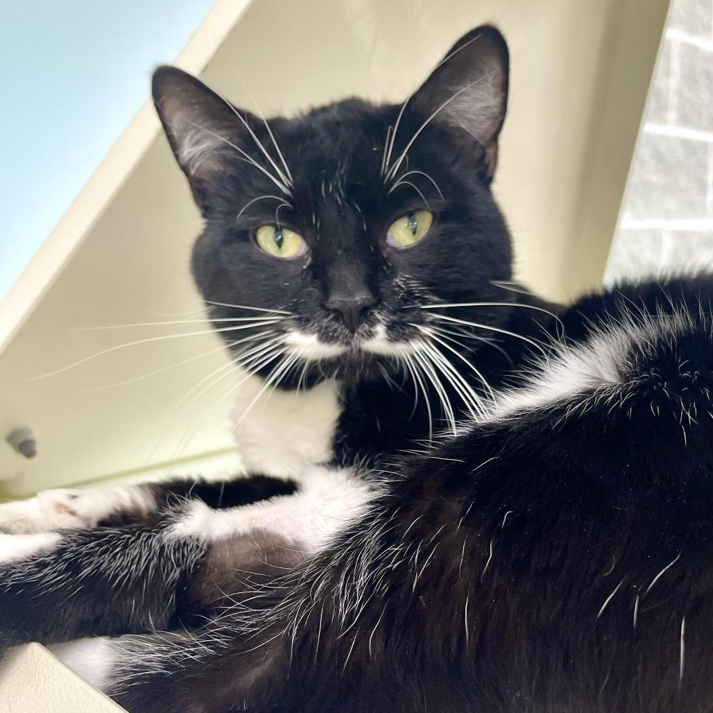 Mr. Monopoly — thumbnail 4