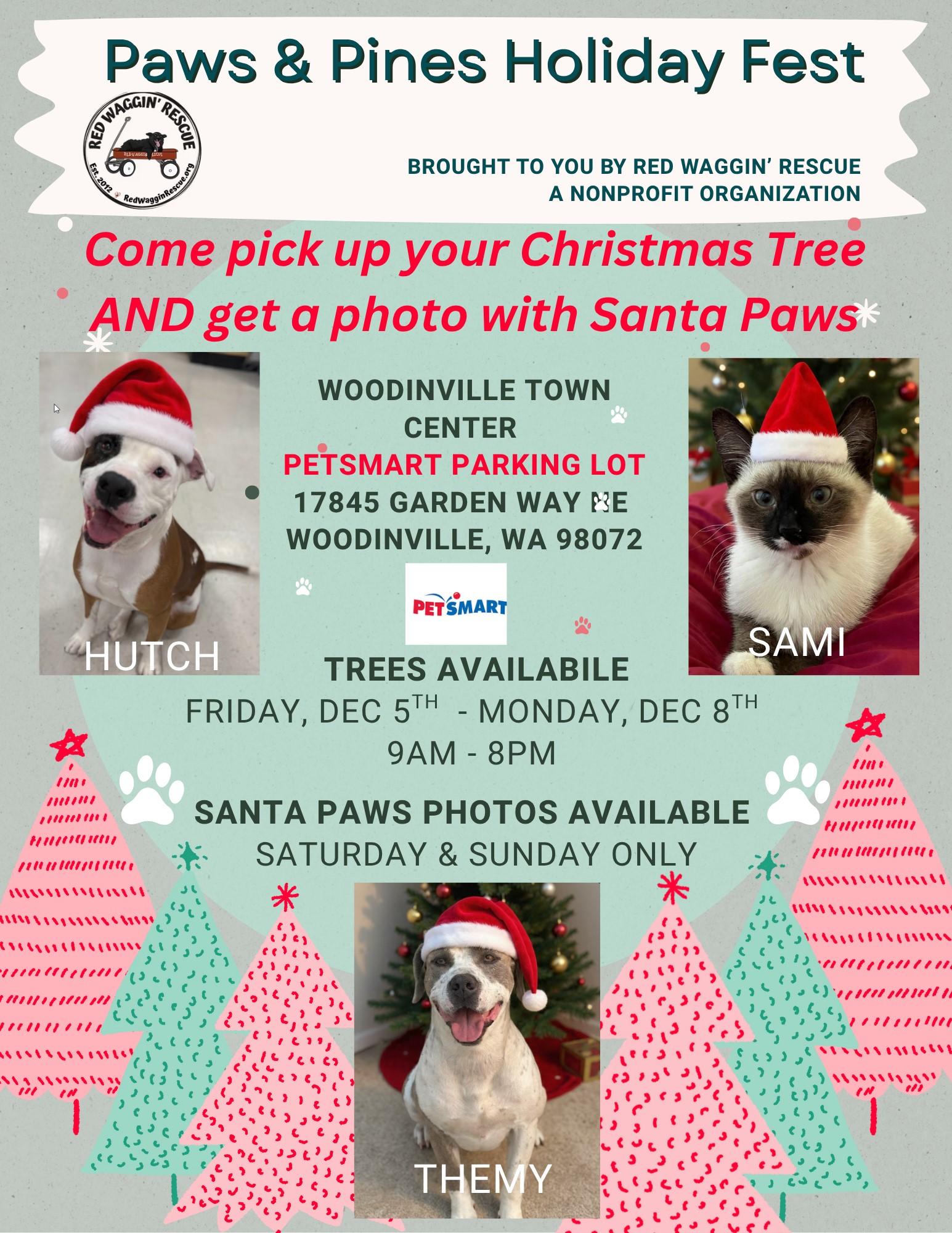 Almond - Last-Minute Rescue Needs New Home!