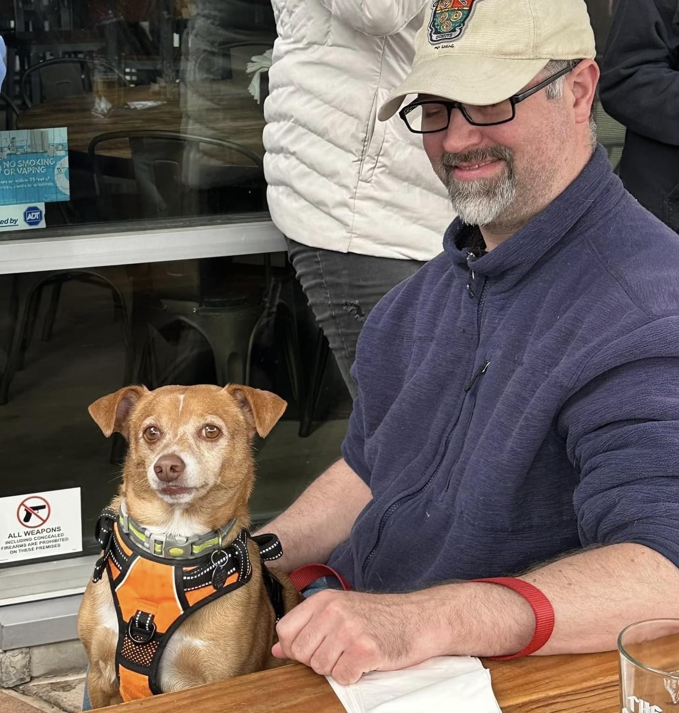 Enlarge REBEL, a Adoptable mixed breed in Graham, WA image 10/11