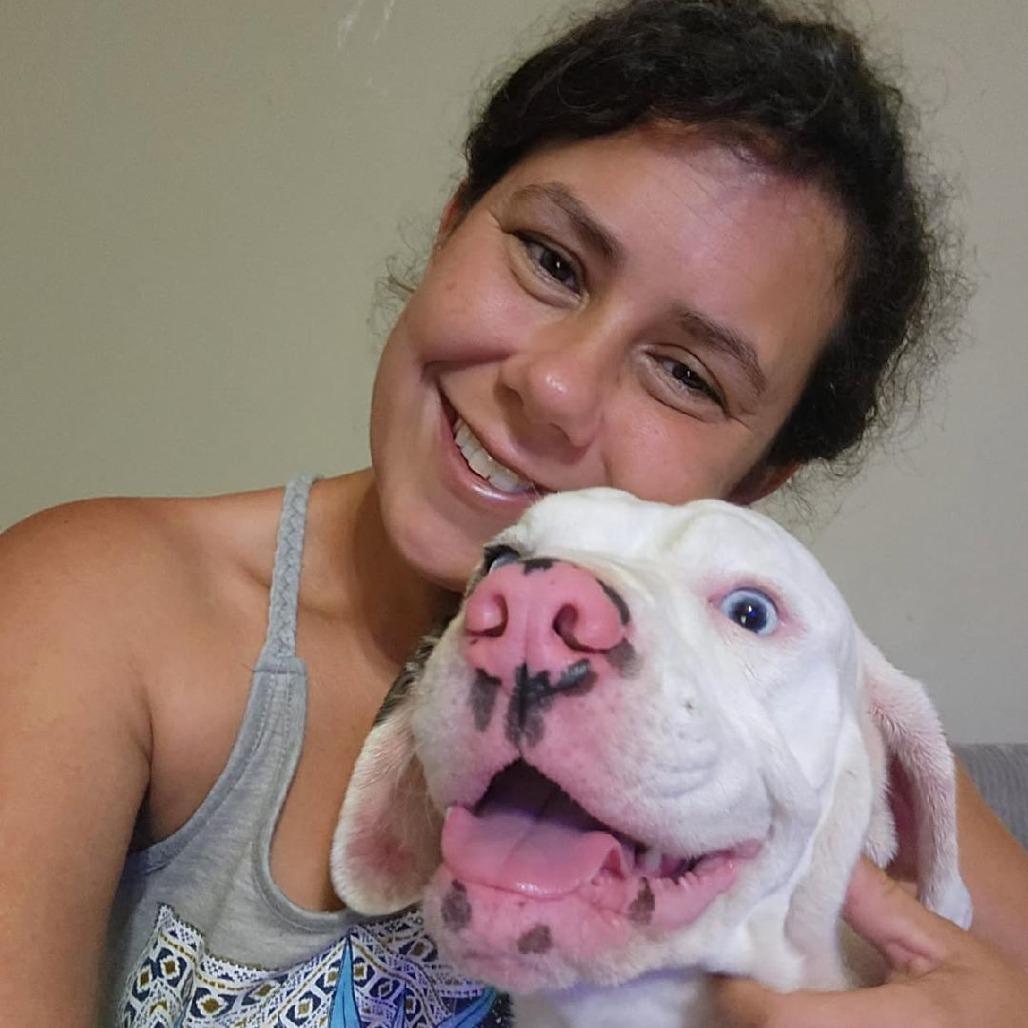 Enlarge Mickey, a Adoptable mixed breed in New Orleans, LA image 4/6