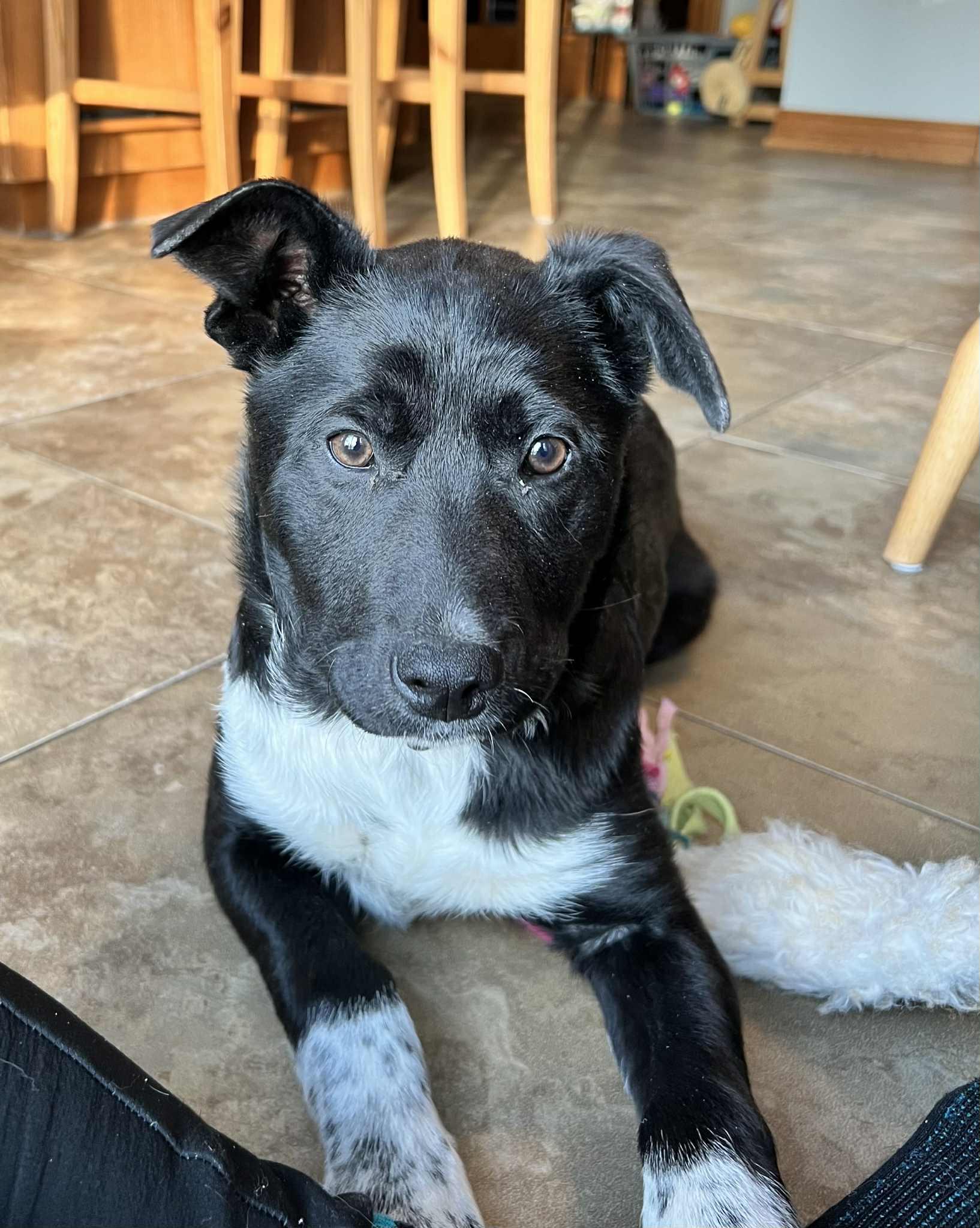 Aki (20260120-03) — thumbnail 2