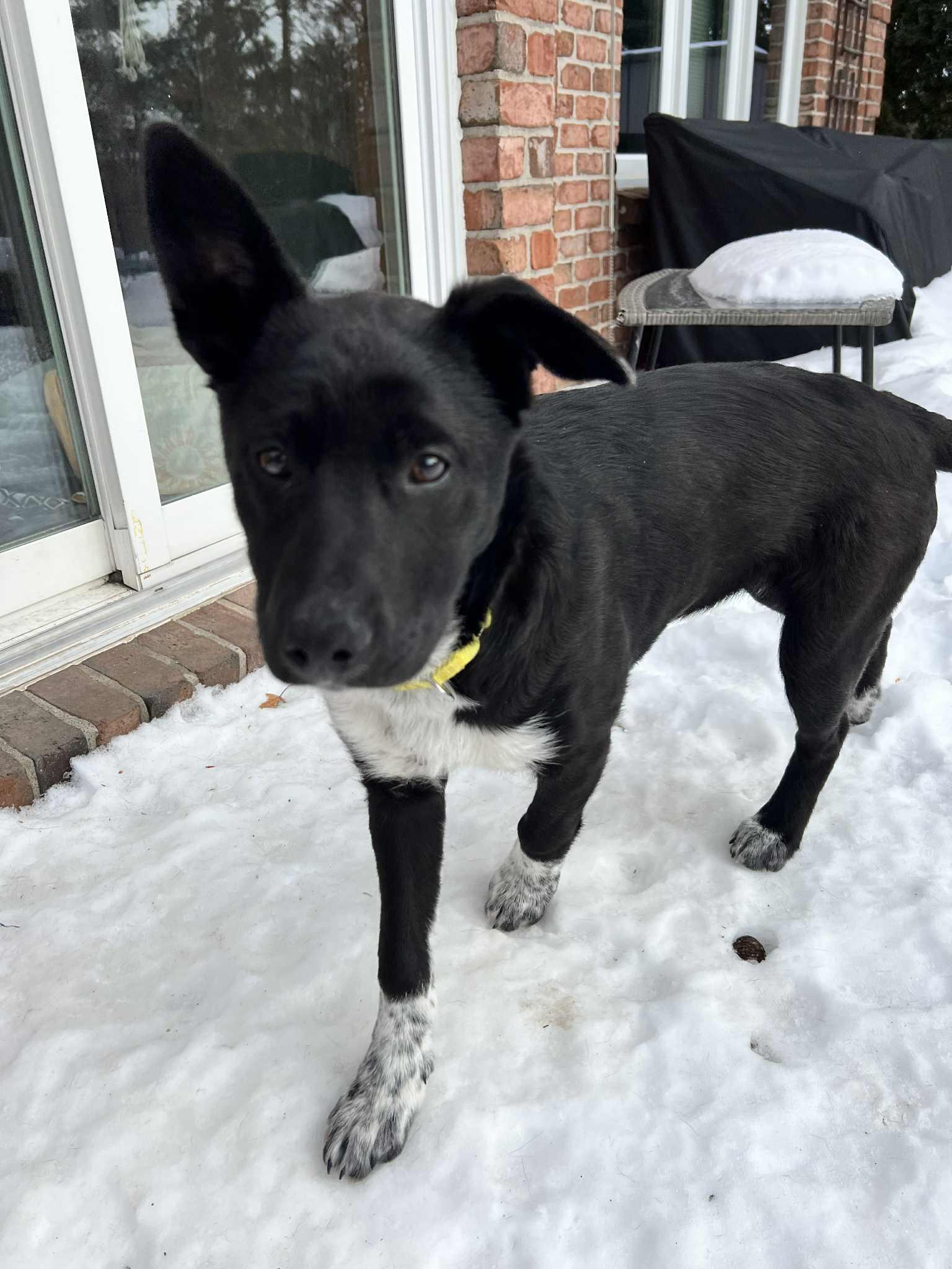 Aki (20260120-03) — thumbnail 6