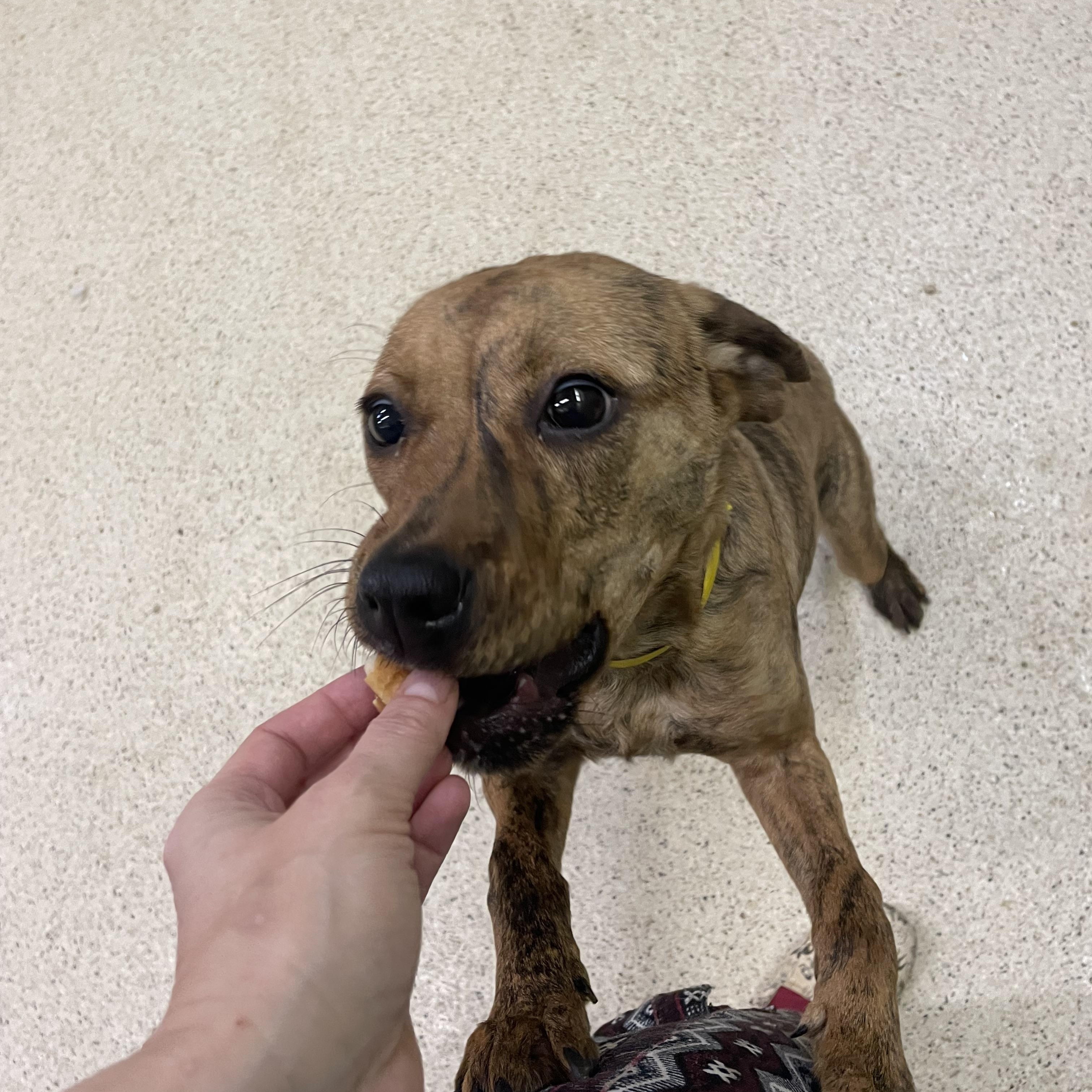 Lainey — thumbnail 3