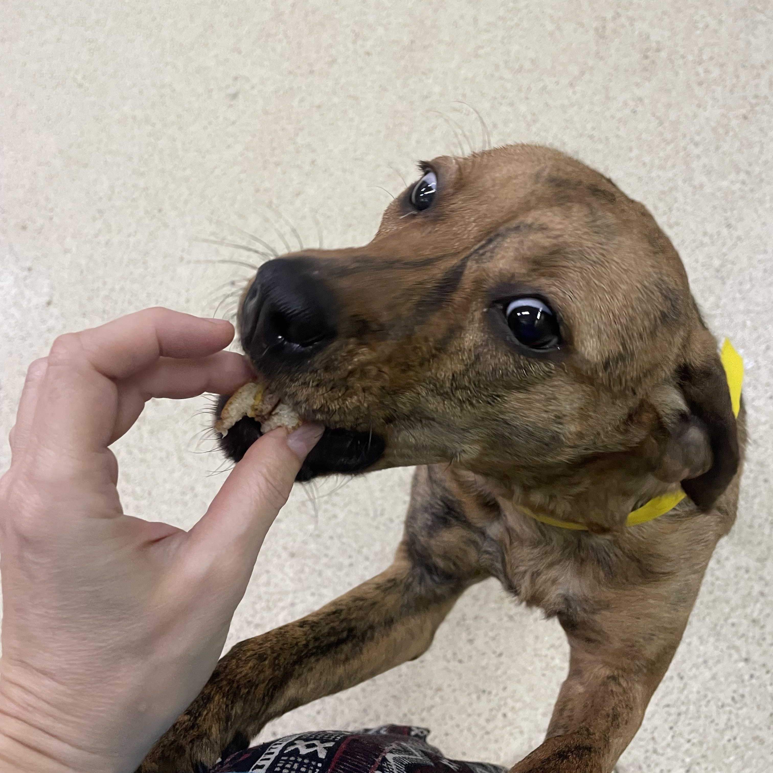 Lainey — thumbnail 5