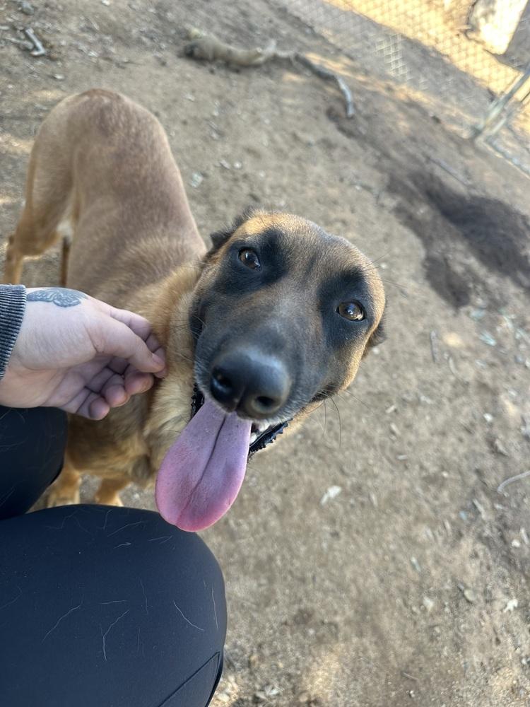 Luna-Mama — thumbnail 3