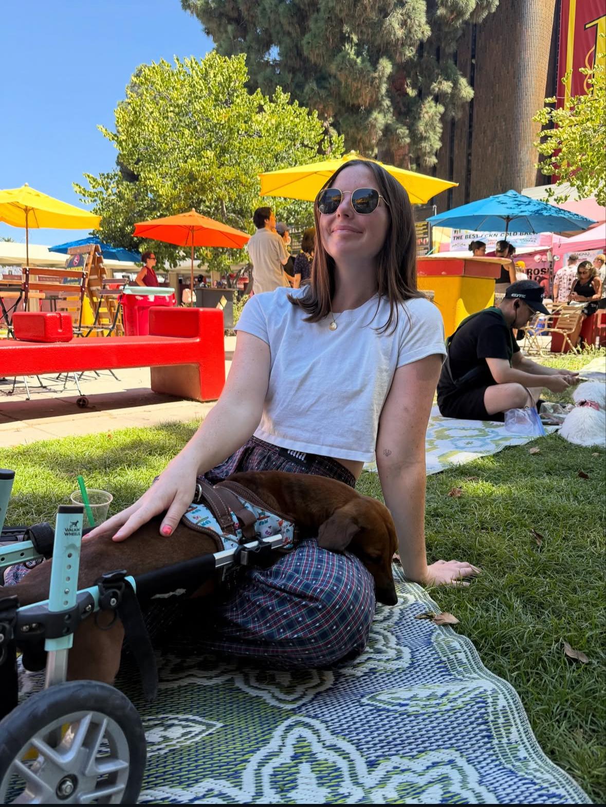 Enlarge Spokes, a Adoptable Dachshund in Pasadena, CA image 5/6