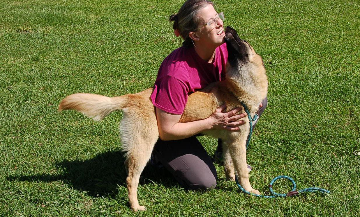 LADY AD 06-12-25, a Adopted Belgian Shepherd / Malinois in Preston, CT image 5/5