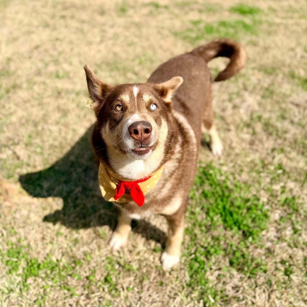 Cherry Peper — thumbnail 5