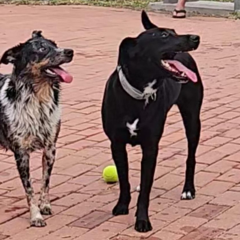 Remy — thumbnail 6