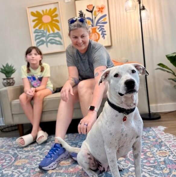 Enlarge Mirabelle Encanto With The Sweet Smile, a Adoptable mixed breed in Friendswood, TX image 2/6