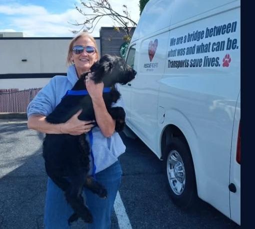 Enlarge Bender, a Adopted mixed breed in Crossville, TN image 4/5