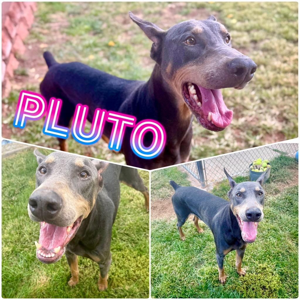 Pluto