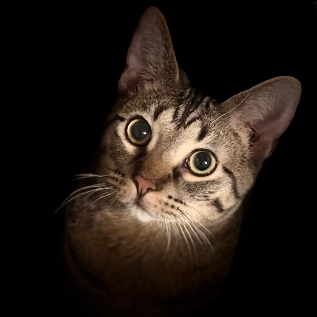 Luca — thumbnail 2