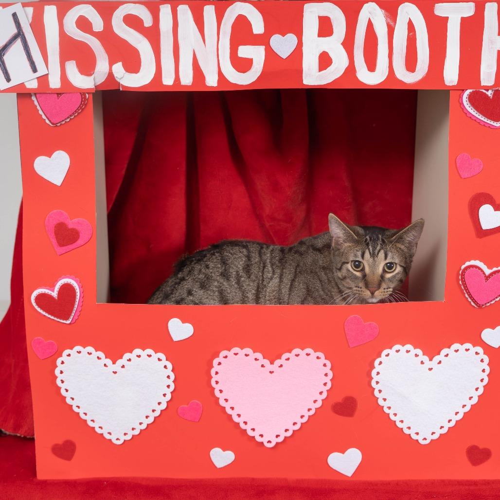 Luca — thumbnail 3