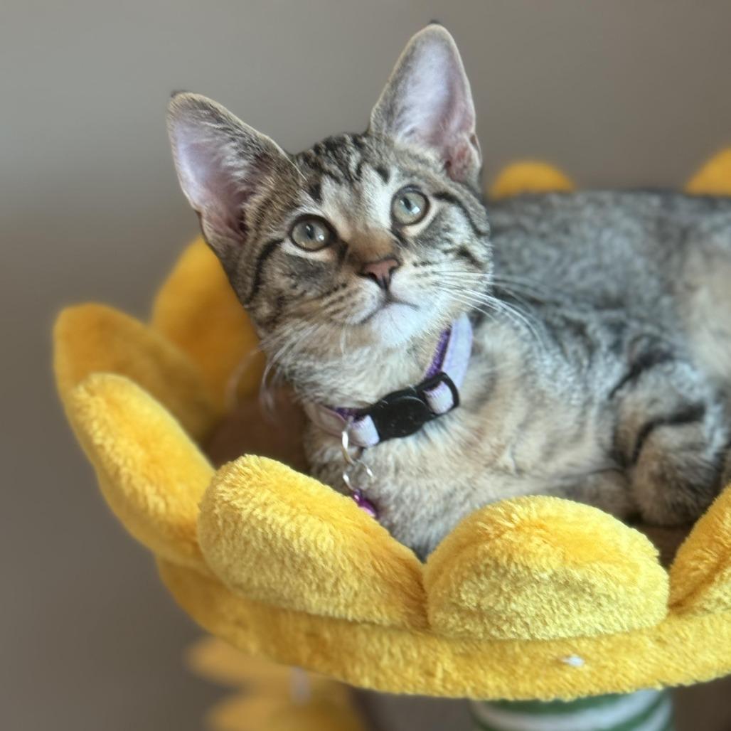 Luca — thumbnail 4