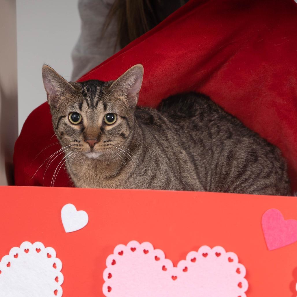 Luca — thumbnail 5