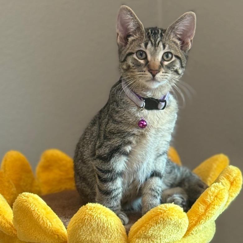 Luca — thumbnail 6