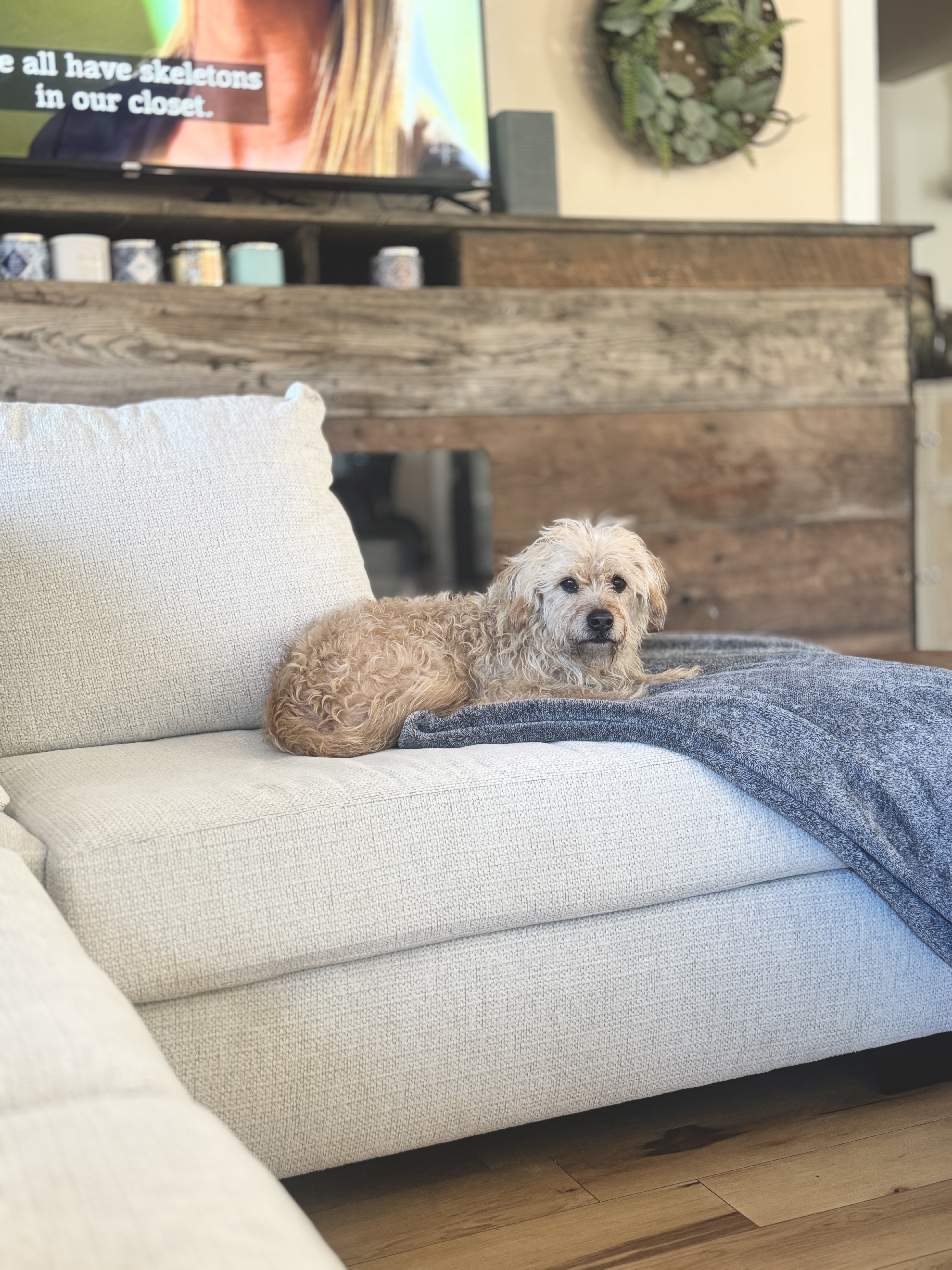 Benji photo 5